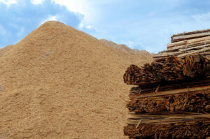 TGE hopes to build four biomass plants in Thailand